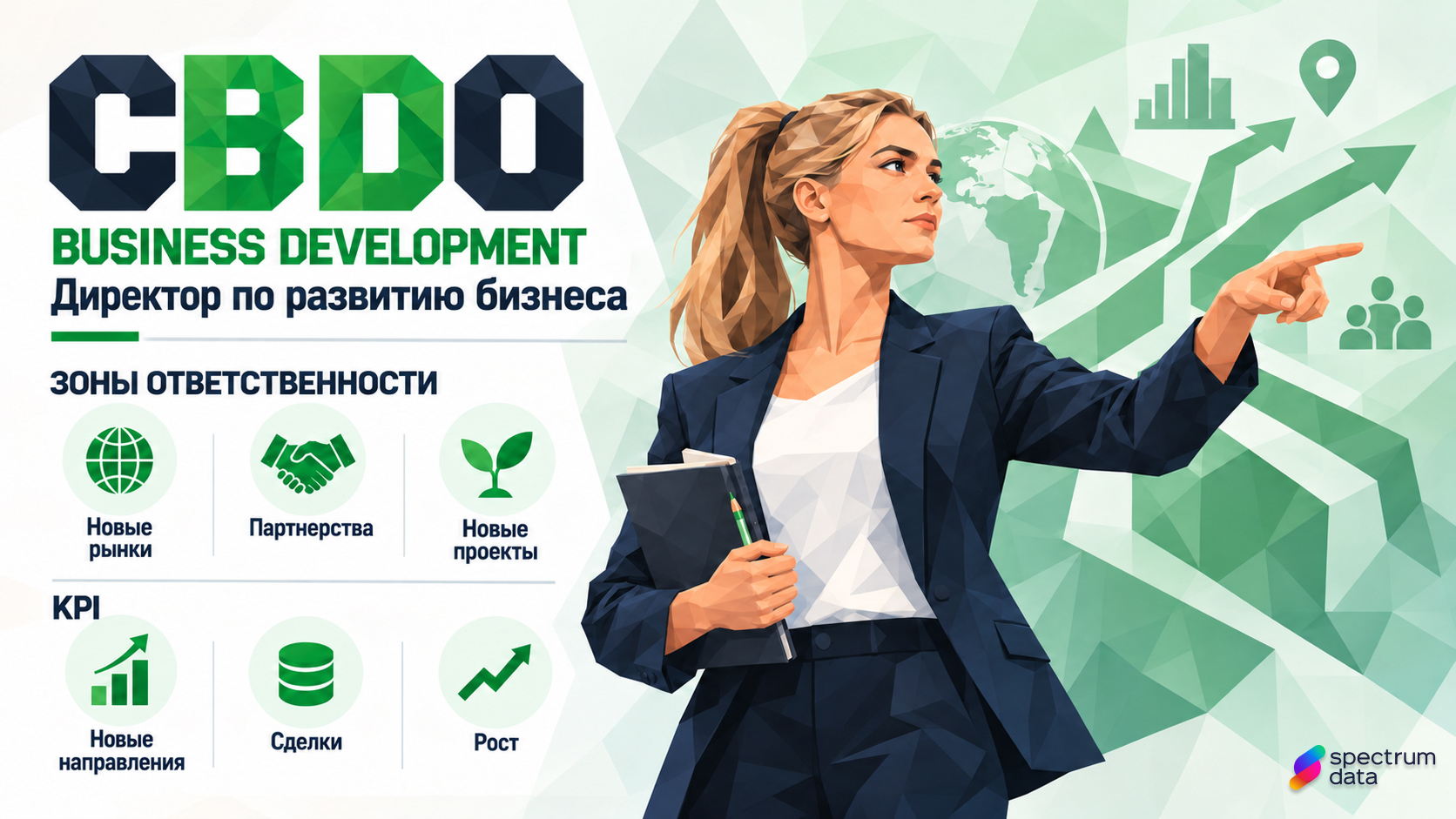 зоны ответственности и KPI директора по развитию бизнеса CBDO