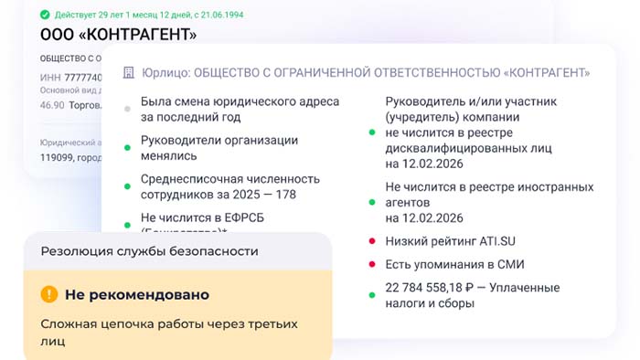 пример отчета