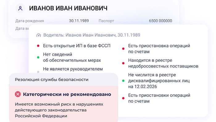 пример отчета по проверке директора