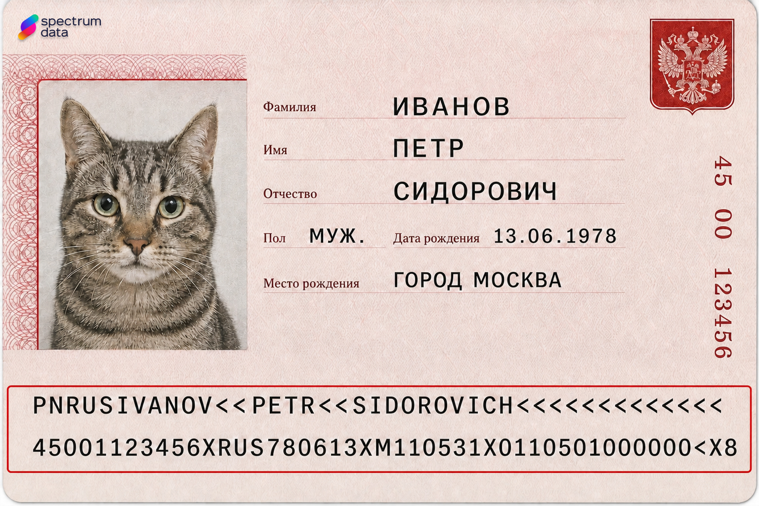 найти данные по паспорту