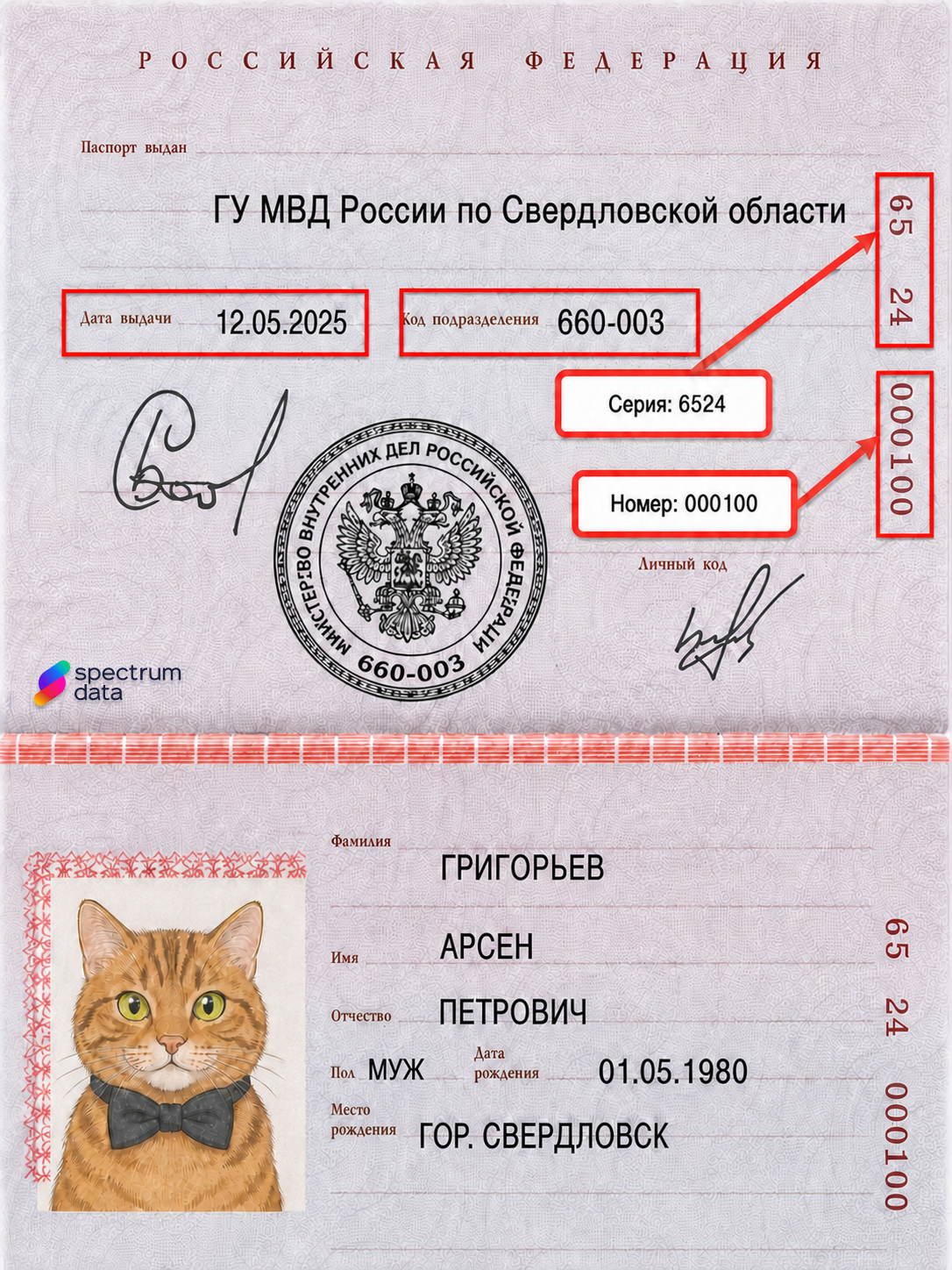что входит в понятие паспортные данные