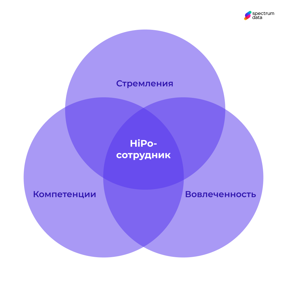 HiPo HiPo что это