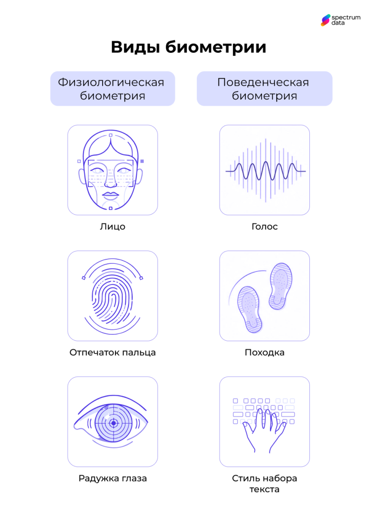 что такое биометрия человека что такое биометрия человека