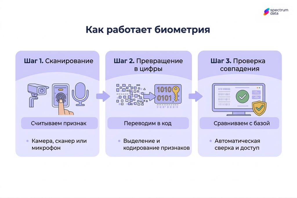 биометрическая идентификация