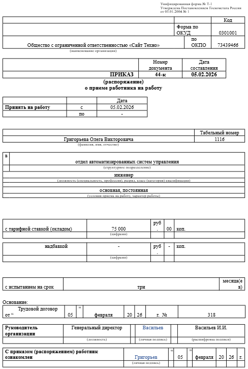 образец приказа по форме Т1