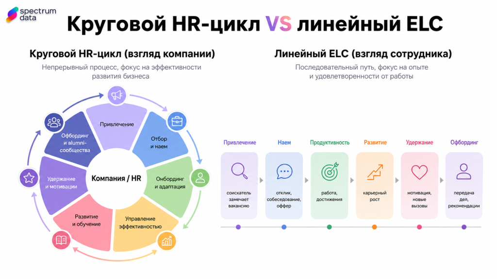 жизненный цикл сотрудника