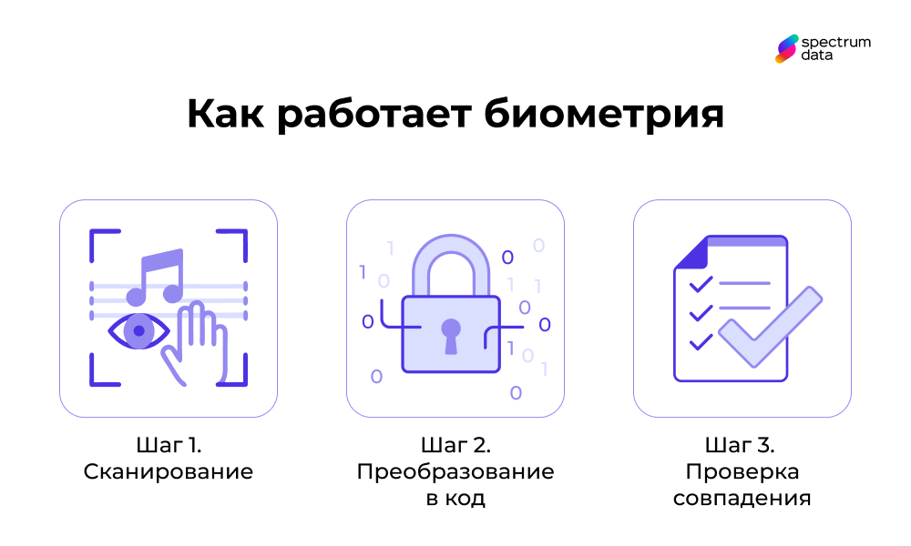 биометрическая идентификация биометрическая идентификация