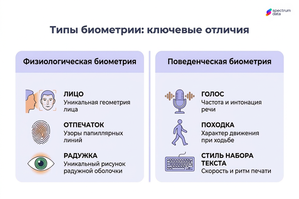 что такое биометрия человека