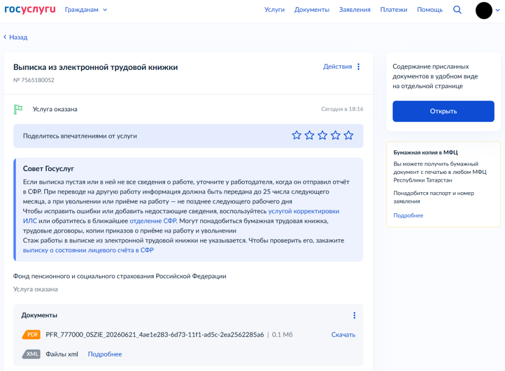 как выглядит трудовая книжка в электронном виде